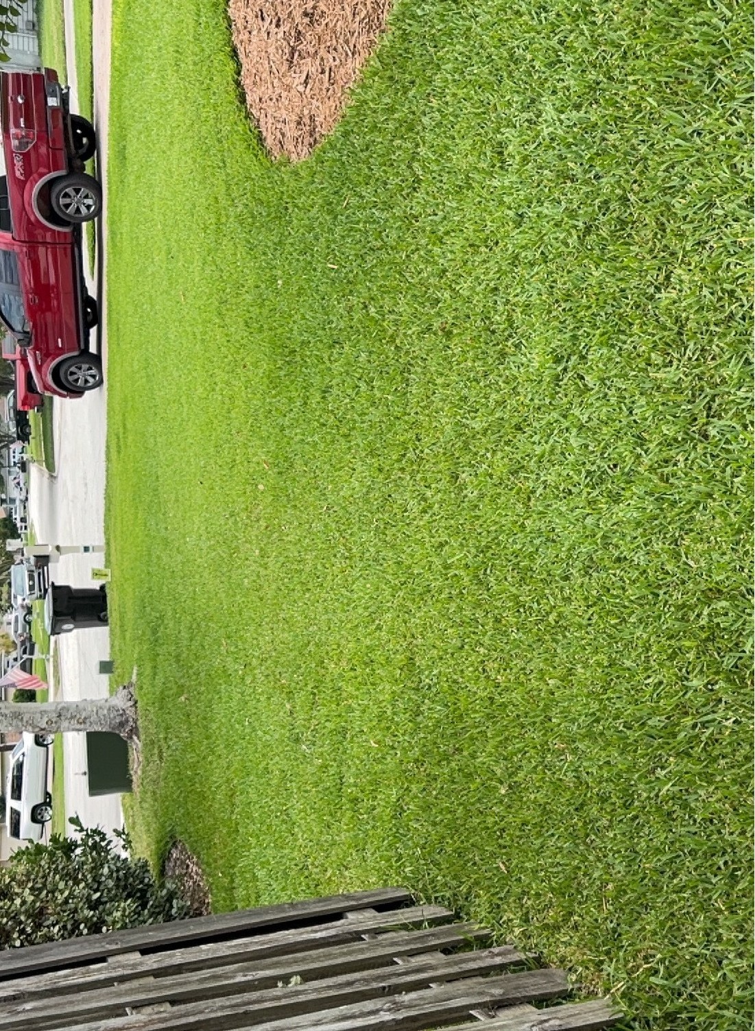 July Lawn Care Tips