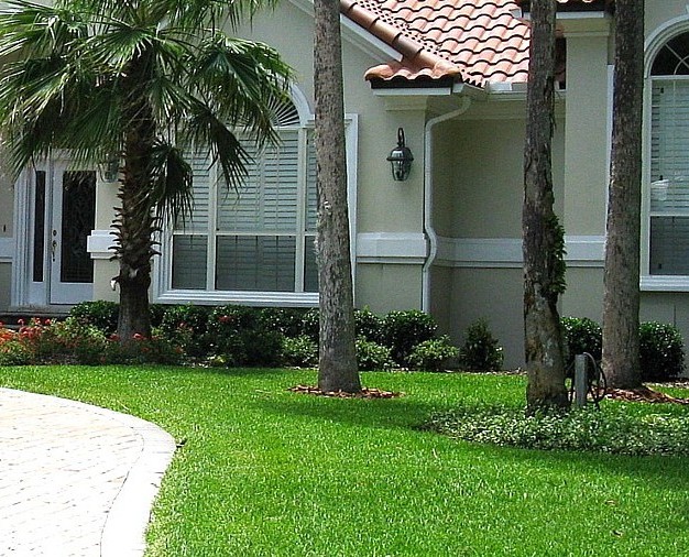 June Lawn Health Tips