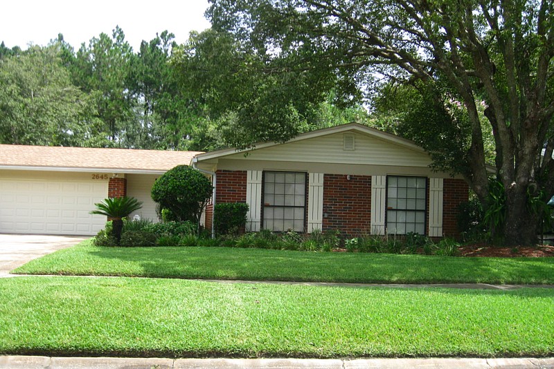 January Lawn Care Tips for Florida Homeowners