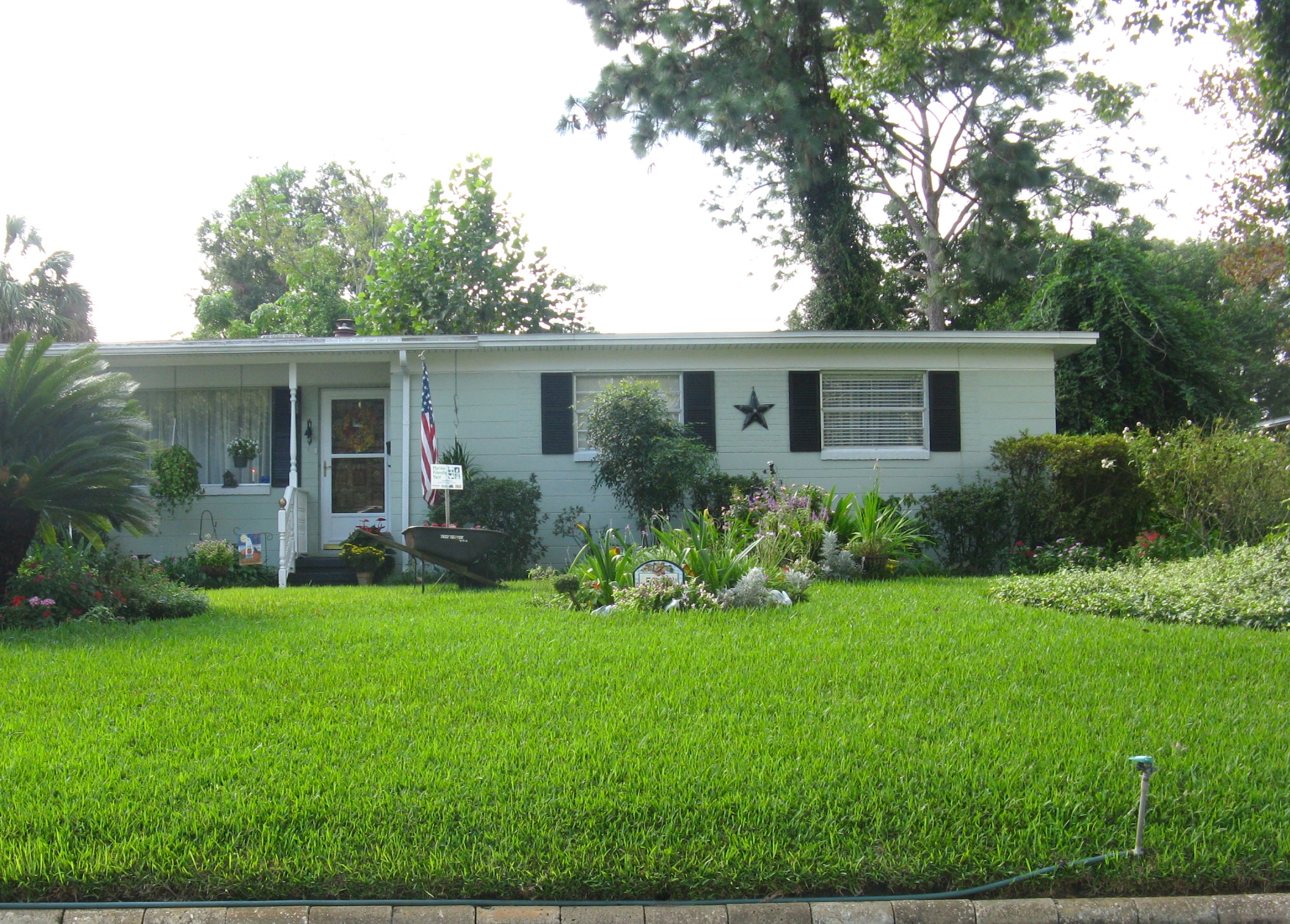 March Lawn Treatment Guide