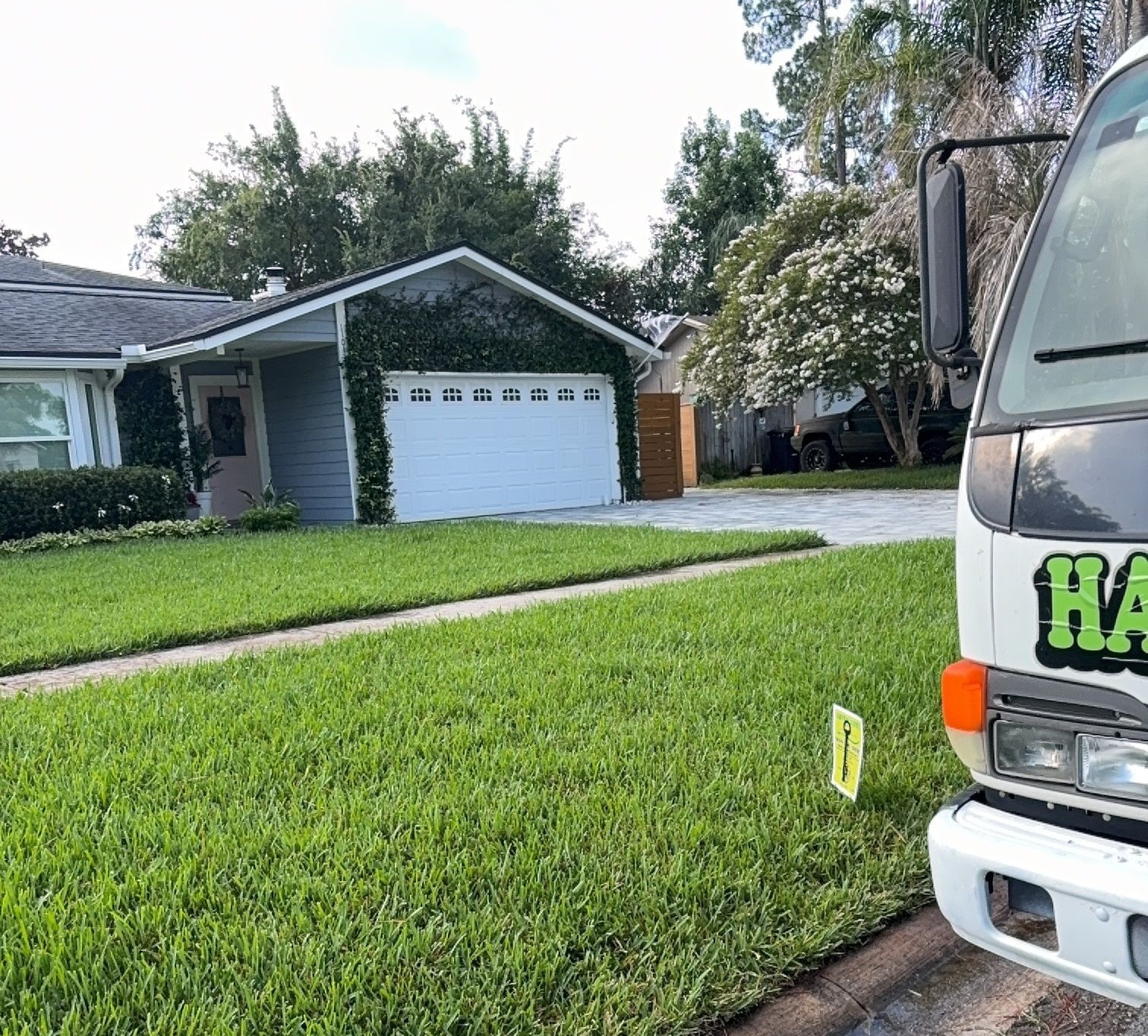 September Lawn Care Tips