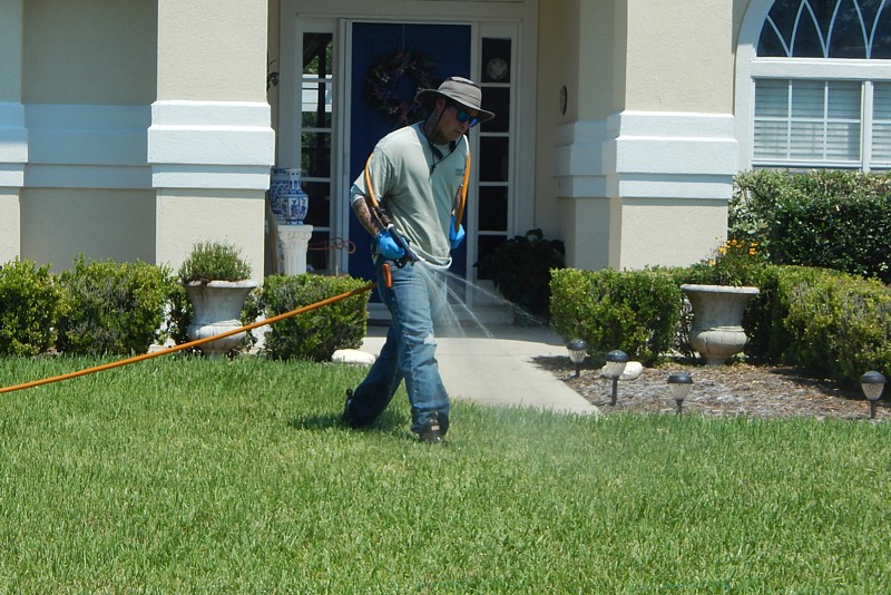Jacksonville lawn weed control services